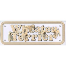 Wheaten Terrier